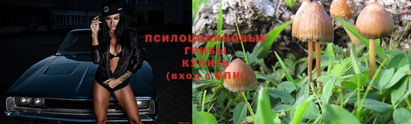 прущая мука Алексеевка
