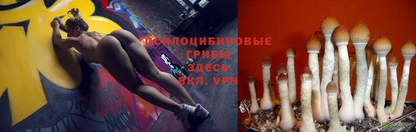 дмт Алексин