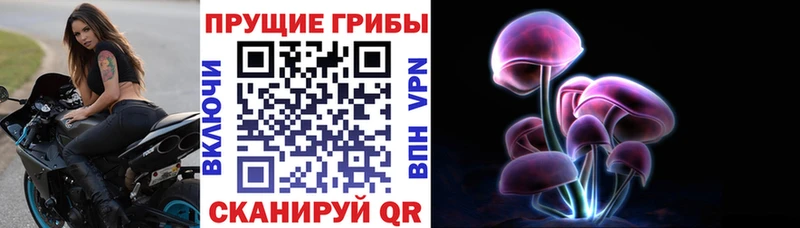где можно купить Бирск Галлюциногенные грибы Cubensis