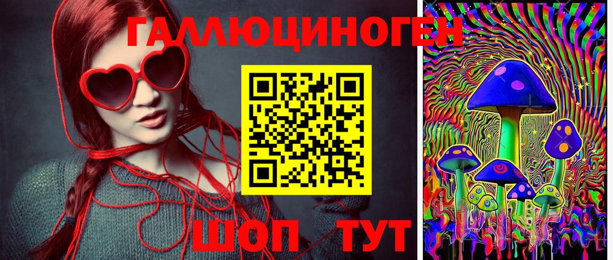 Галлюциногенные грибы Psilocybe Бирск