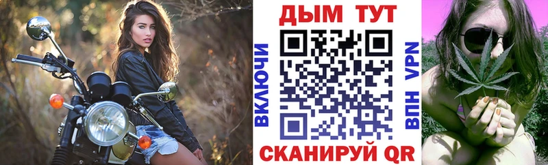Бошки марихуана Amnesia  где продают   Бирск 